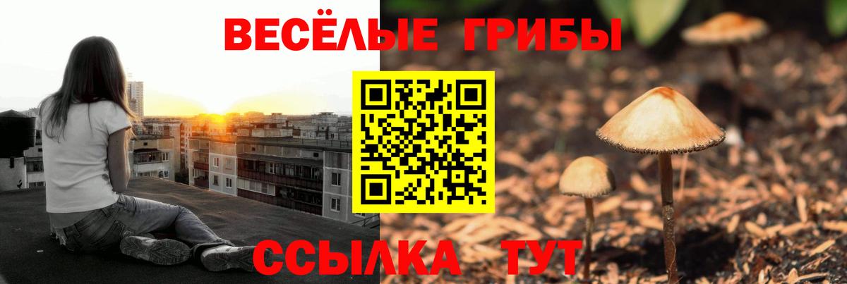 дарнет шоп  Вход с VPN  Верхняя Пышма  Псилоцибиновые грибы мицелий 